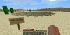 antlion.jpg