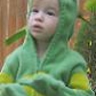 Shyfroggy