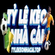 tylekeonhacaito4