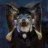sdenotter
